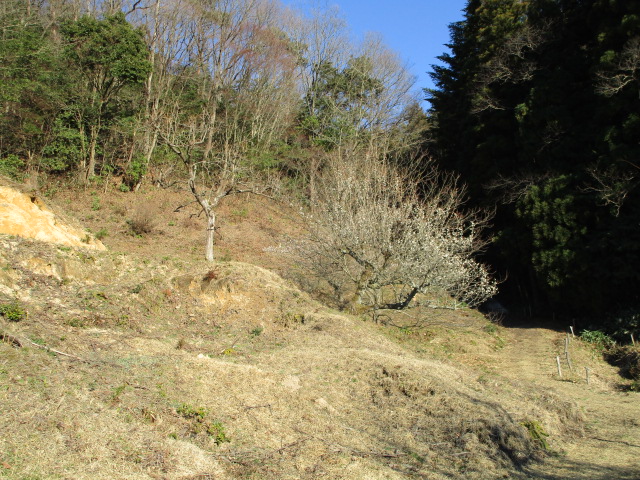 f:id:asmane:20190308173644j:plain