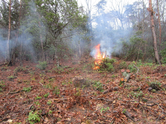 f:id:asmane:20190310173943j:plain f:id:asmane:20190310173943j:plain