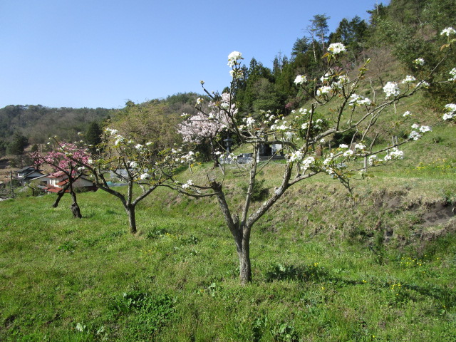 f:id:asmane:20190422205137j:plain f:id:asmane:20190422205137j:plain