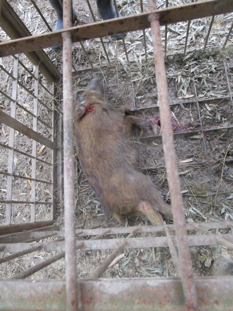 f:id:asmane:20190423173234j:plain