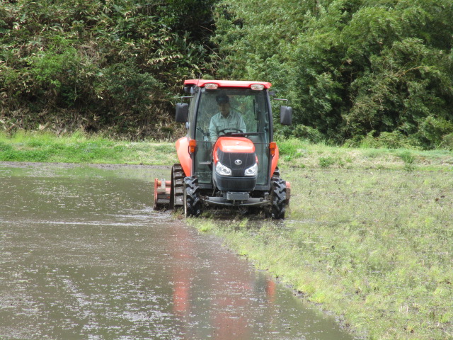 f:id:asmane:20190424204847j:plain