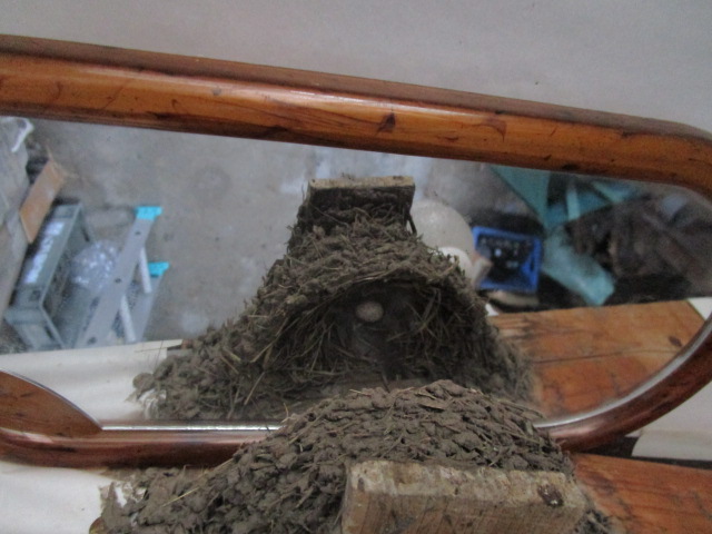 f:id:asmane:20190425165339j:plain