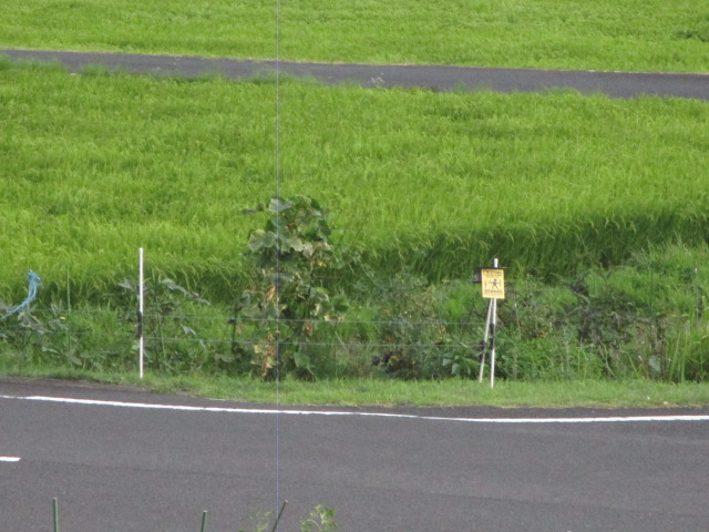 f:id:asmane:20200810181556j:plain