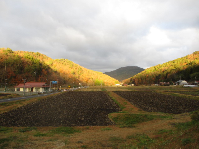 f:id:asmane:20201121180338j:plain