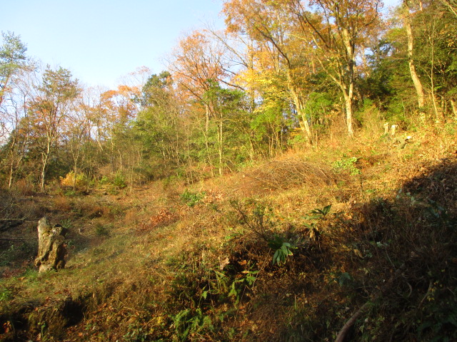 f:id:asmane:20201121180358j:plain