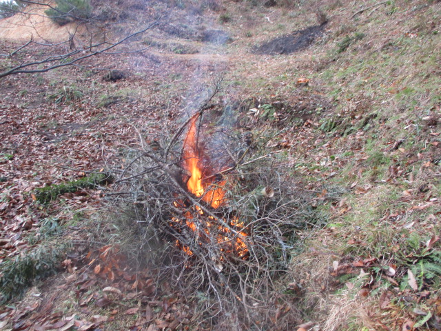 f:id:asmane:20201123181103j:plain