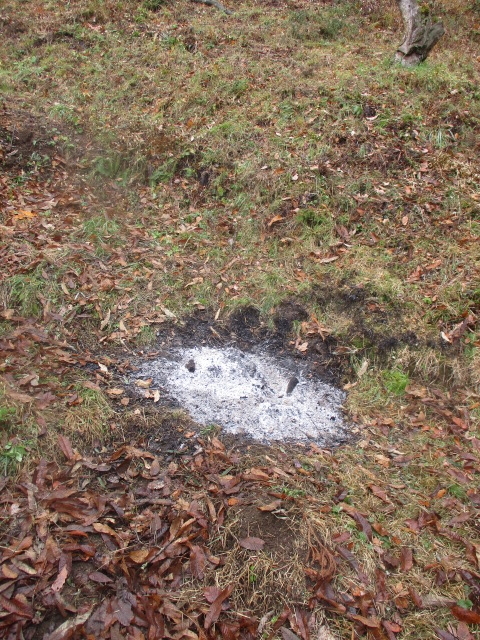 f:id:asmane:20201124204104j:plain