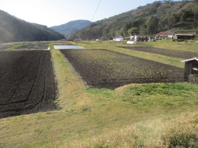 f:id:asmane:20210419174614j:plain