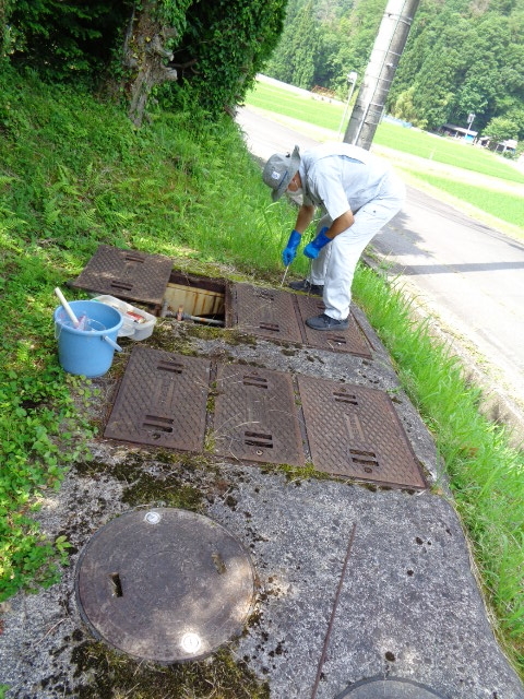 f:id:asmane:20210630180745j:plain