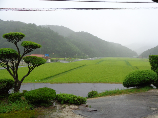 f:id:asmane:20210813165448j:plain