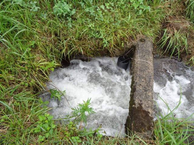 f:id:asmane:20210813165537j:plain