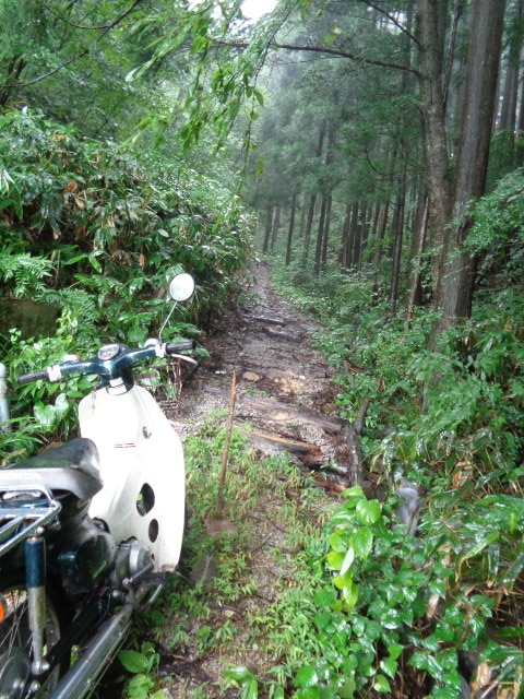 f:id:asmane:20210814170509j:plain