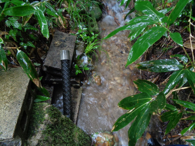 f:id:asmane:20210814170639j:plain