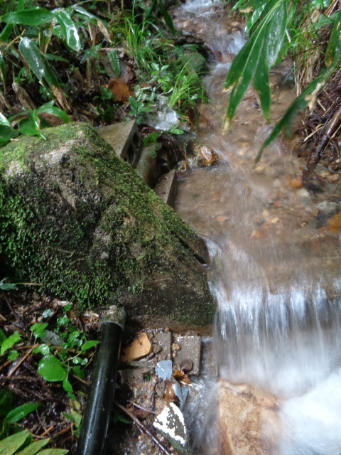 f:id:asmane:20210814170755j:plain