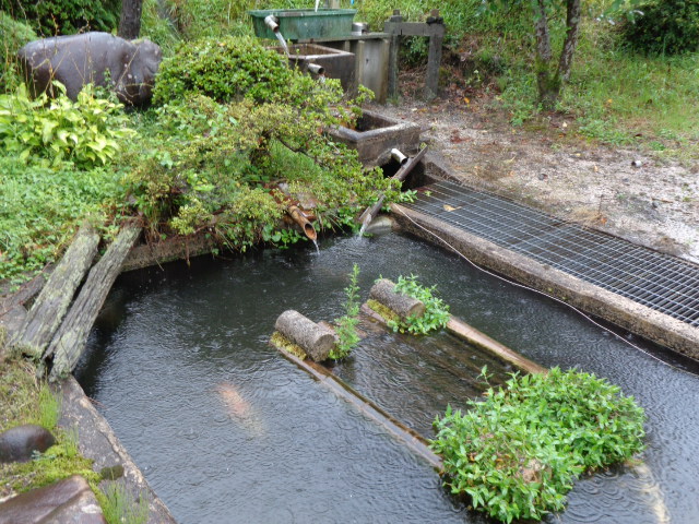 f:id:asmane:20210814171013j:plain