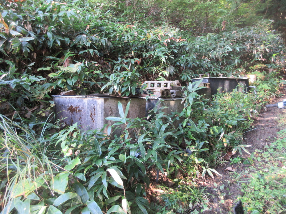 f:id:asmane:20211030194502j:plain