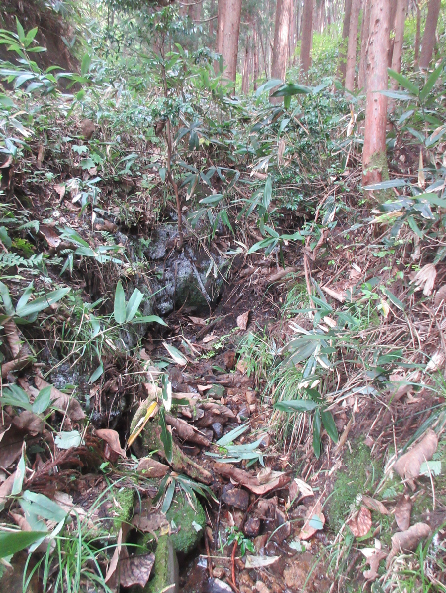 f:id:asmane:20211030194903p:plain