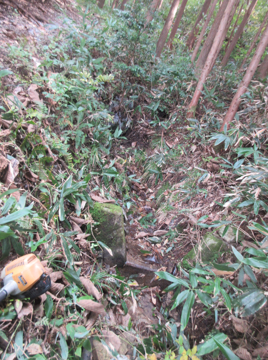 f:id:asmane:20211030200205p:plain