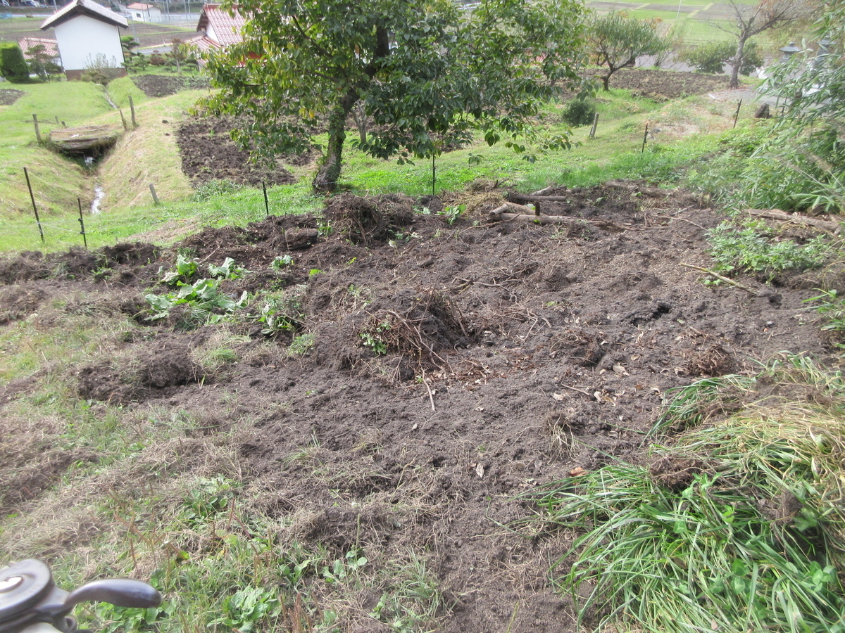 f:id:asmane:20211030202007j:plain