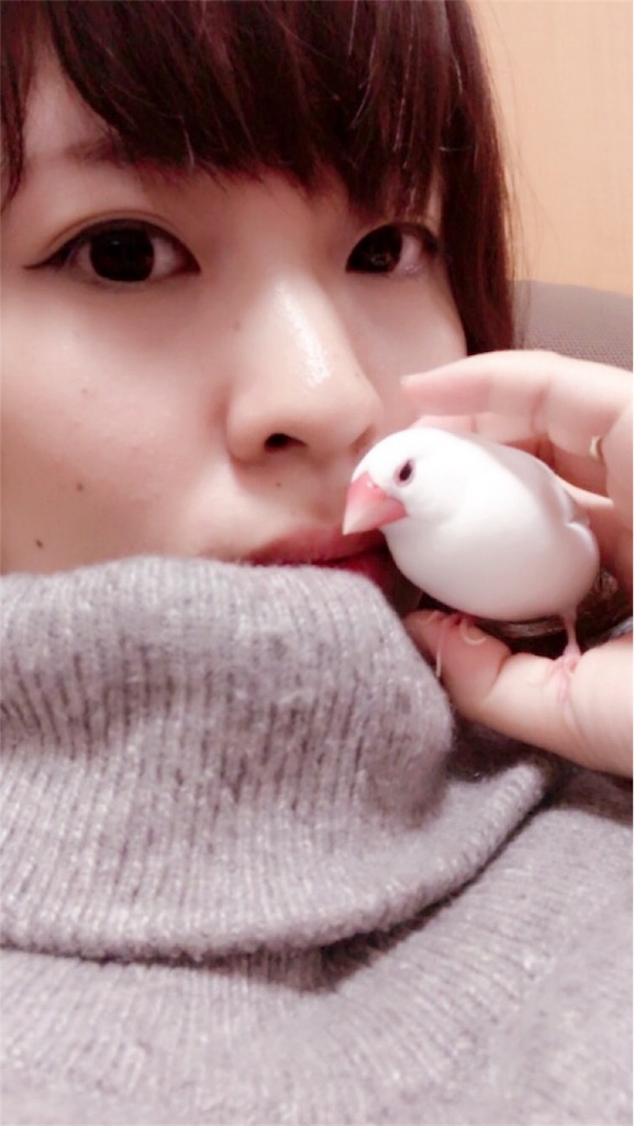 f:id:asmms33:20180818192444j:plain f:id:asmms33:20180818192444j:plain