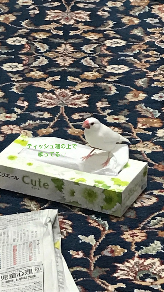 f:id:asmms33:20180818192451j:plain f:id:asmms33:20180818192451j:plain