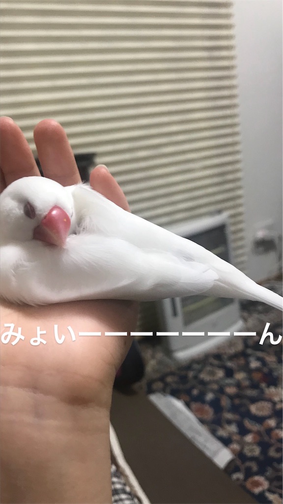 f:id:asmms33:20180818192458j:plain f:id:asmms33:20180818192458j:plain