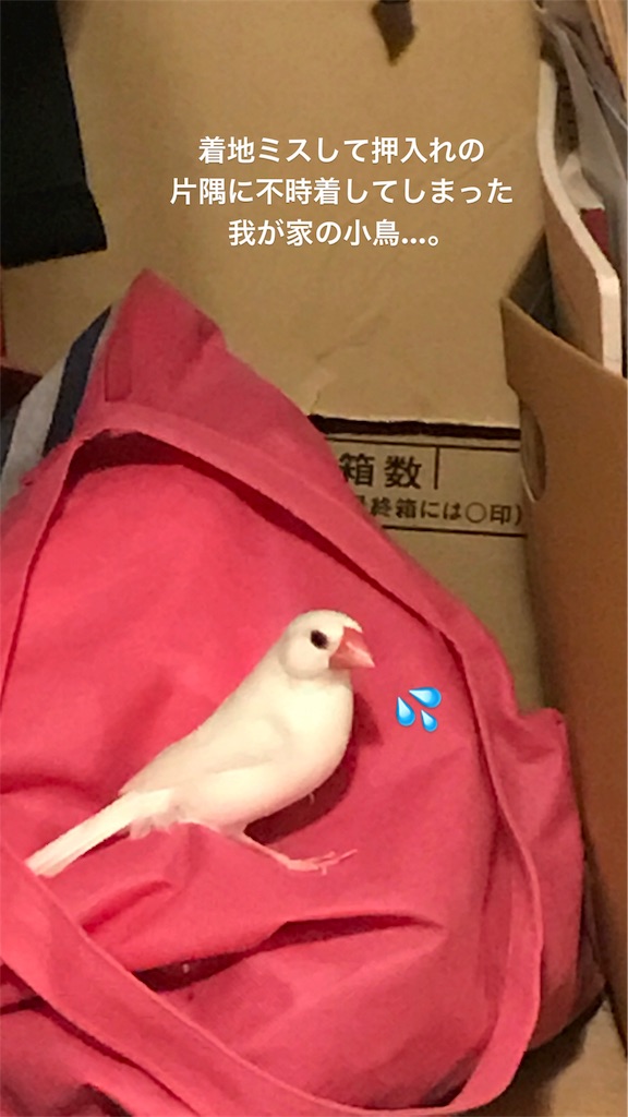 f:id:asmms33:20180818192523j:plain f:id:asmms33:20180818192523j:plain