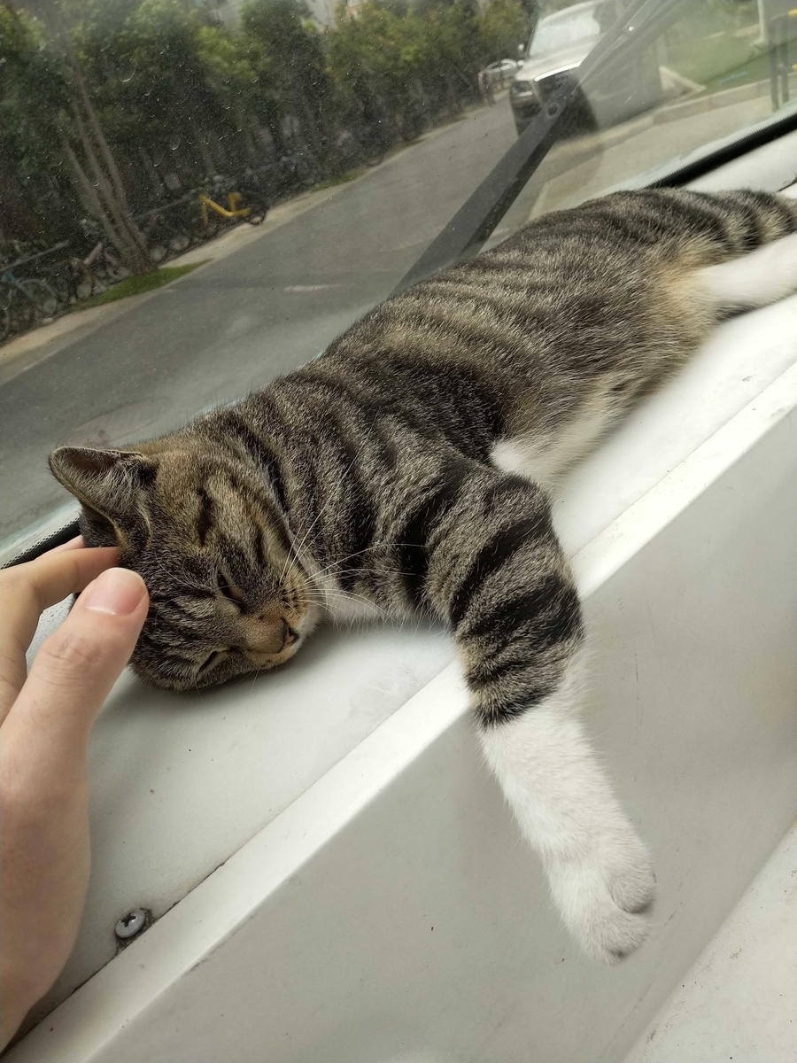 f:id:asmsuechan:20190804003750j:plain