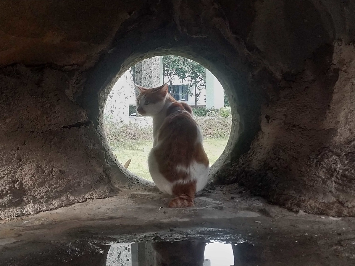 f:id:asmsuechan:20190804005008j:plain