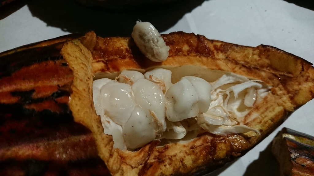 f:id:aso-cacao-pj:20190128183127j:plain