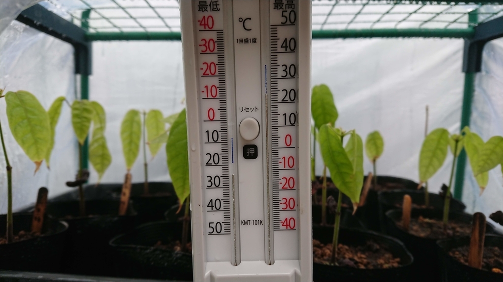 f:id:aso-cacao-pj:20190128190231j:plain