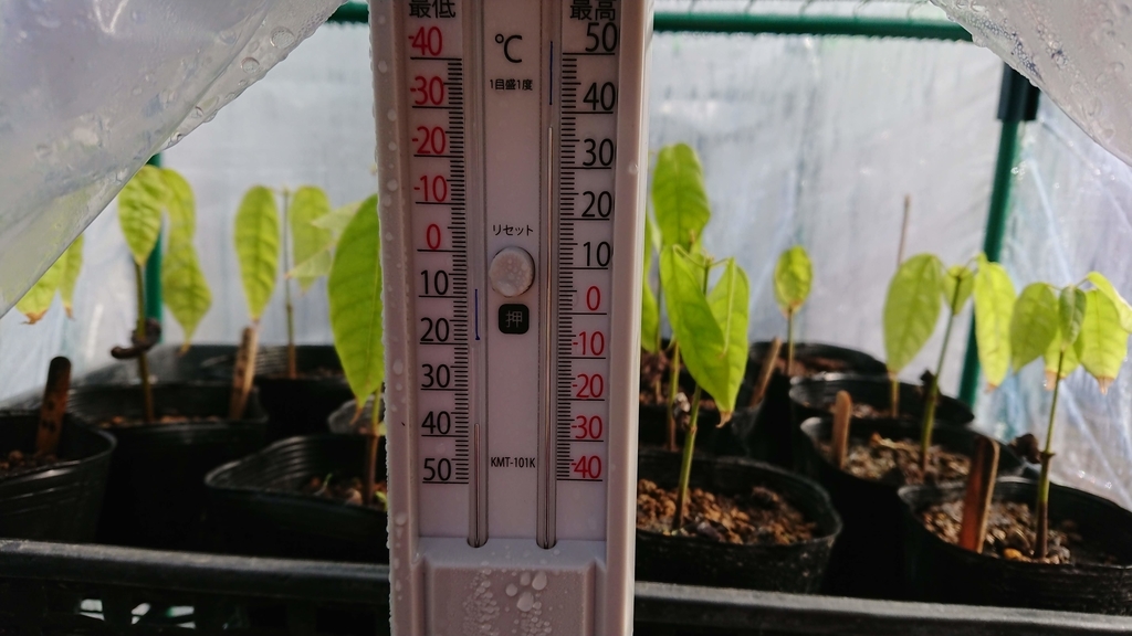 f:id:aso-cacao-pj:20190128191823j:plain
