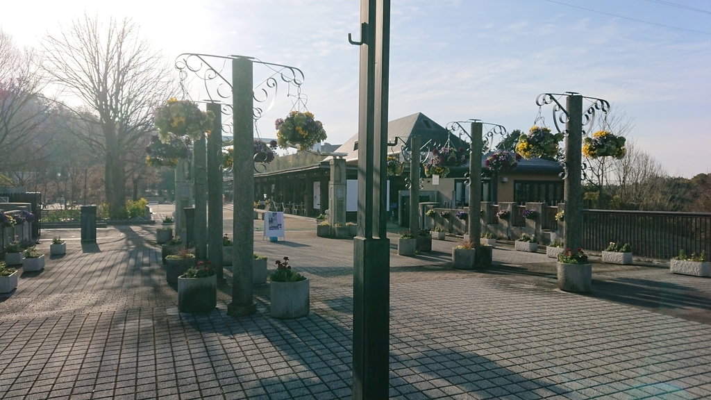 f:id:aso-cacao-pj:20190131130835j:plain