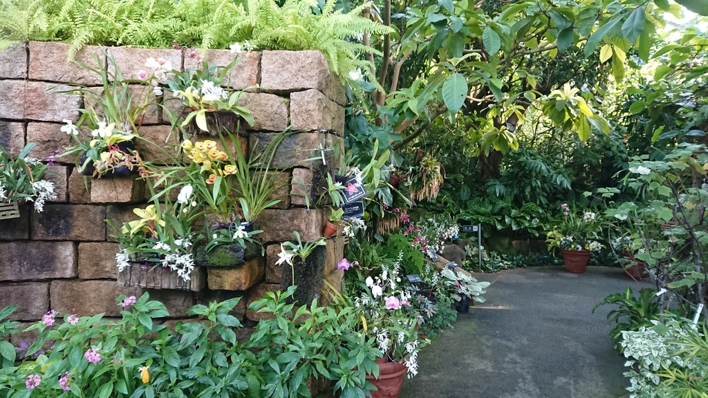 f:id:aso-cacao-pj:20190131131249j:plain