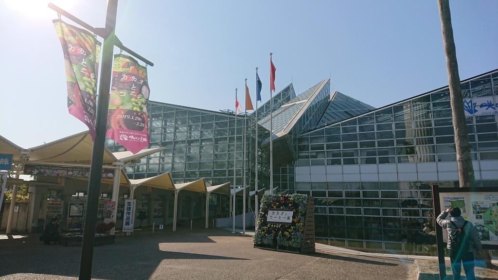 f:id:aso-cacao-pj:20190131194950j:plain