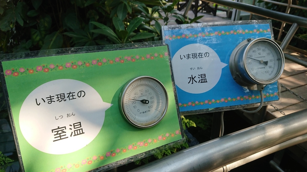 f:id:aso-cacao-pj:20190131195412j:plain