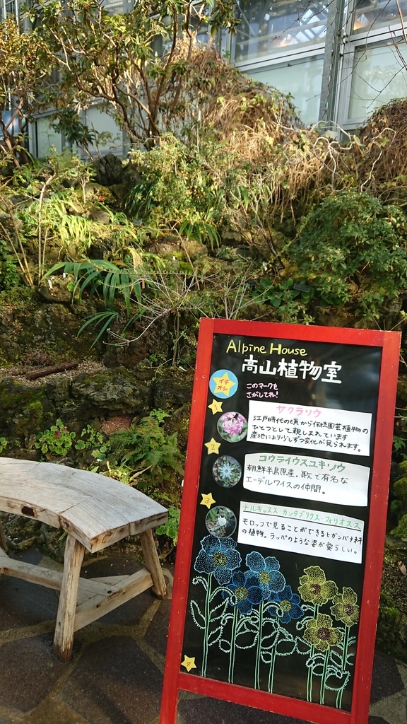 f:id:aso-cacao-pj:20190131202113j:plain