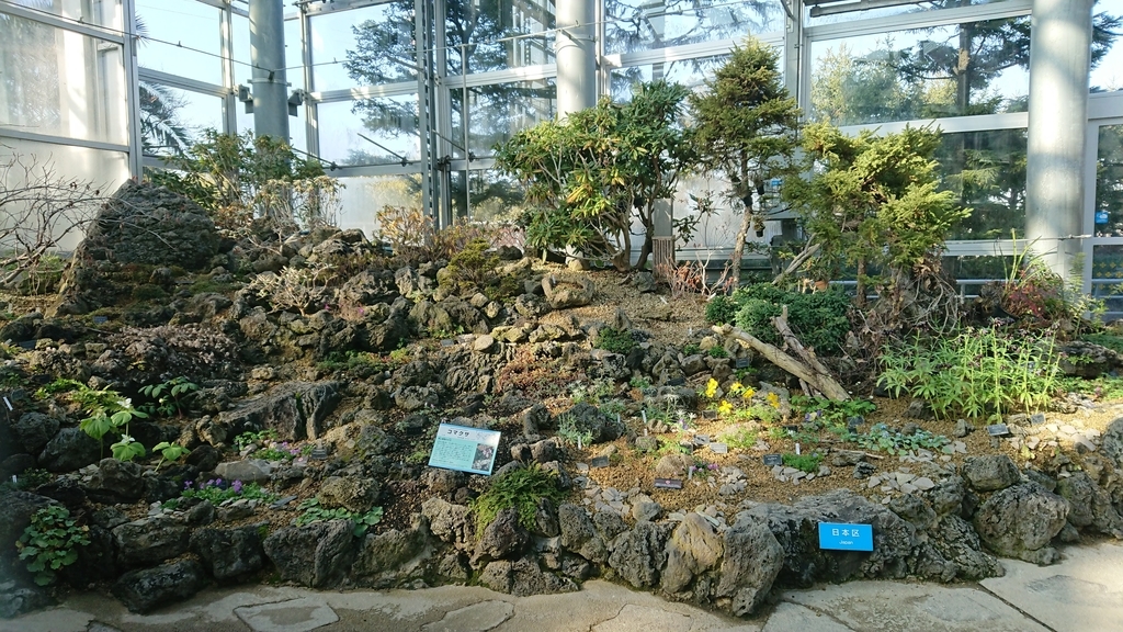 f:id:aso-cacao-pj:20190131210506j:plain