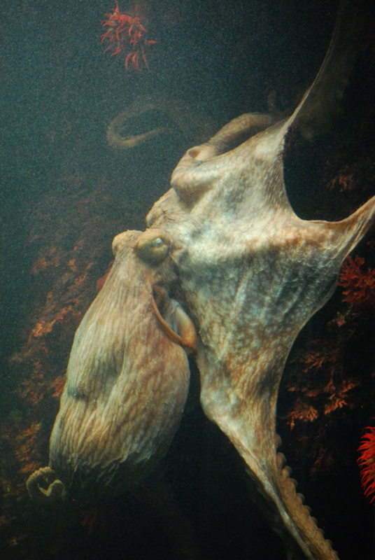 f:id:aso4045:20110505134218j:image