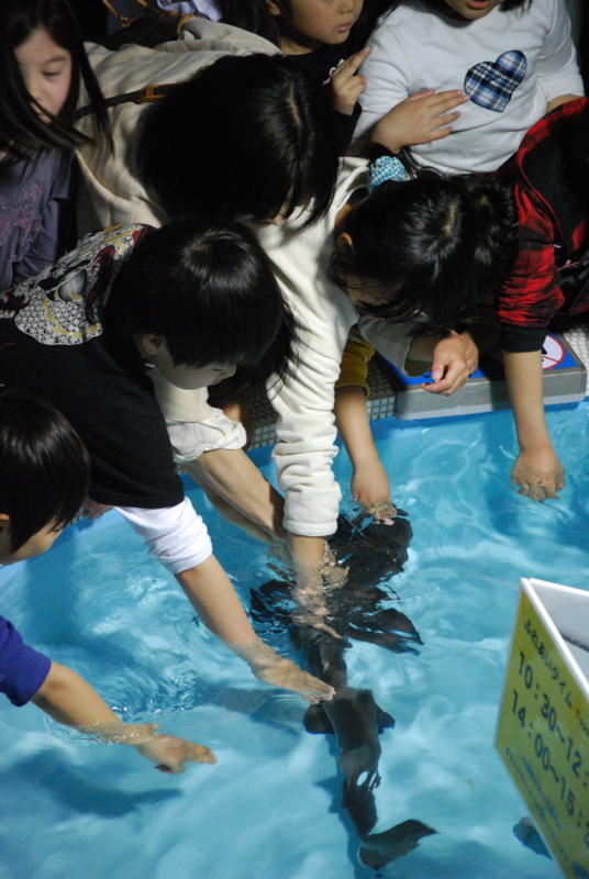 f:id:aso4045:20110505142348j:image