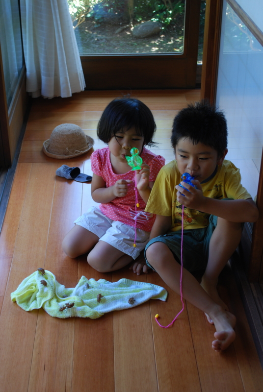 f:id:aso4045:20110811104242j:image:w640 f:id:aso4045:20110811104242j:image:w640