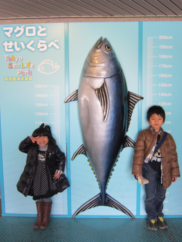 f:id:aso4045:20120303135032j:image
