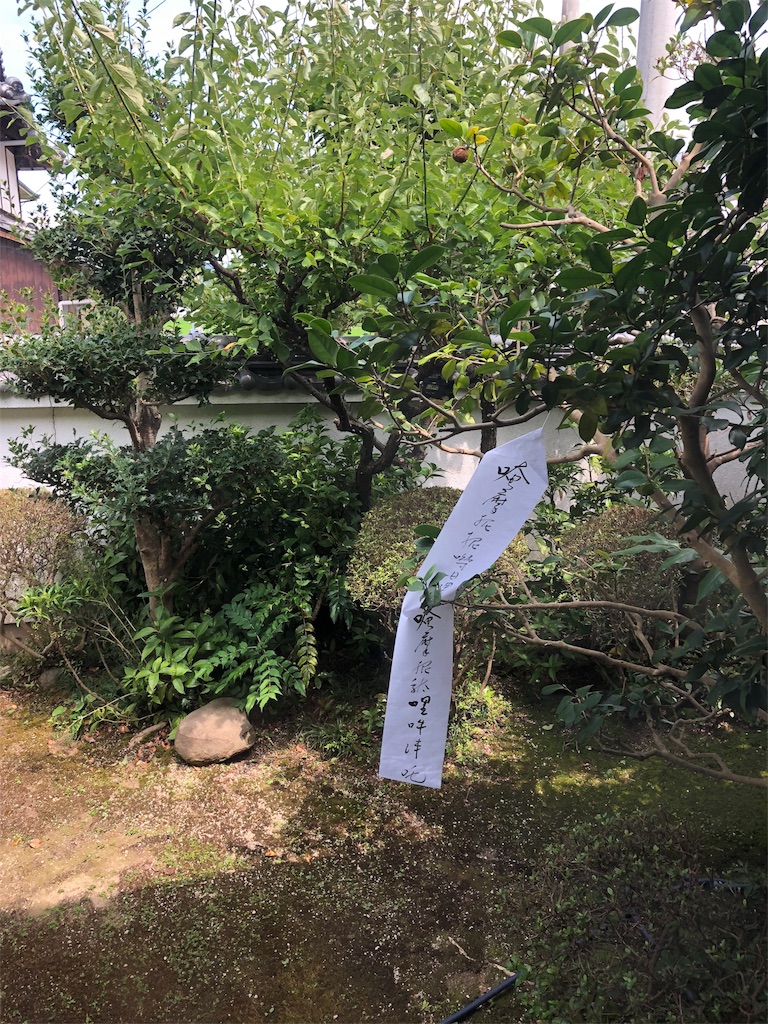 f:id:aso4045:20180812142951j:image