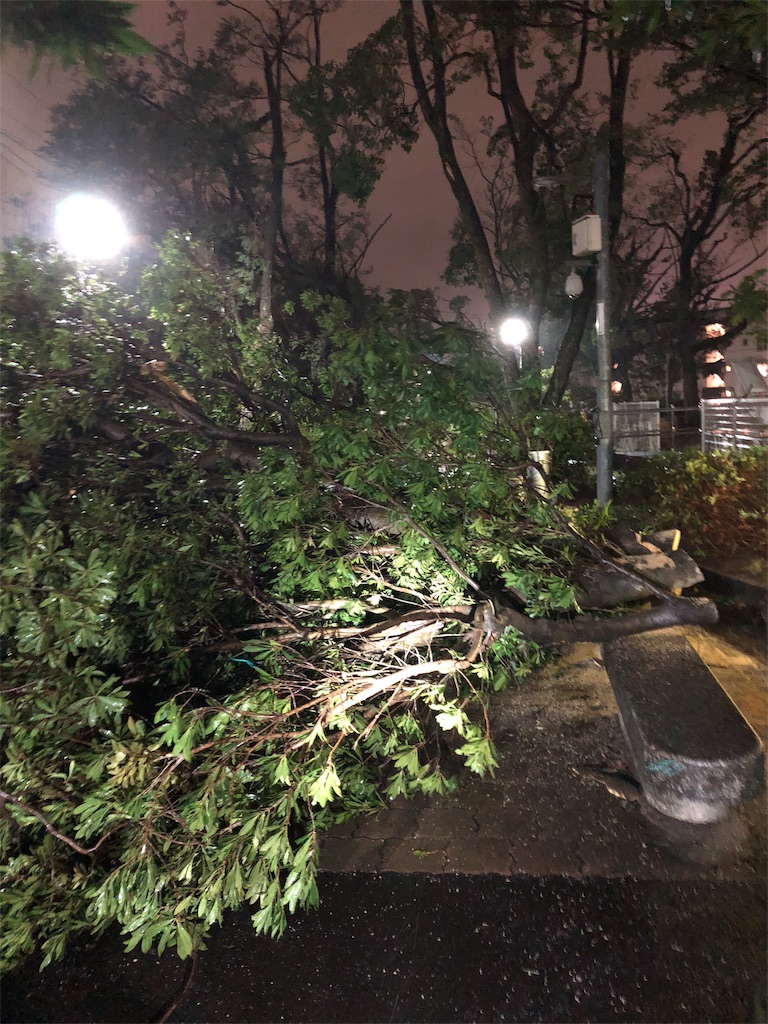 f:id:aso4045:20180904210617j:image f:id:aso4045:20180904210617j:image