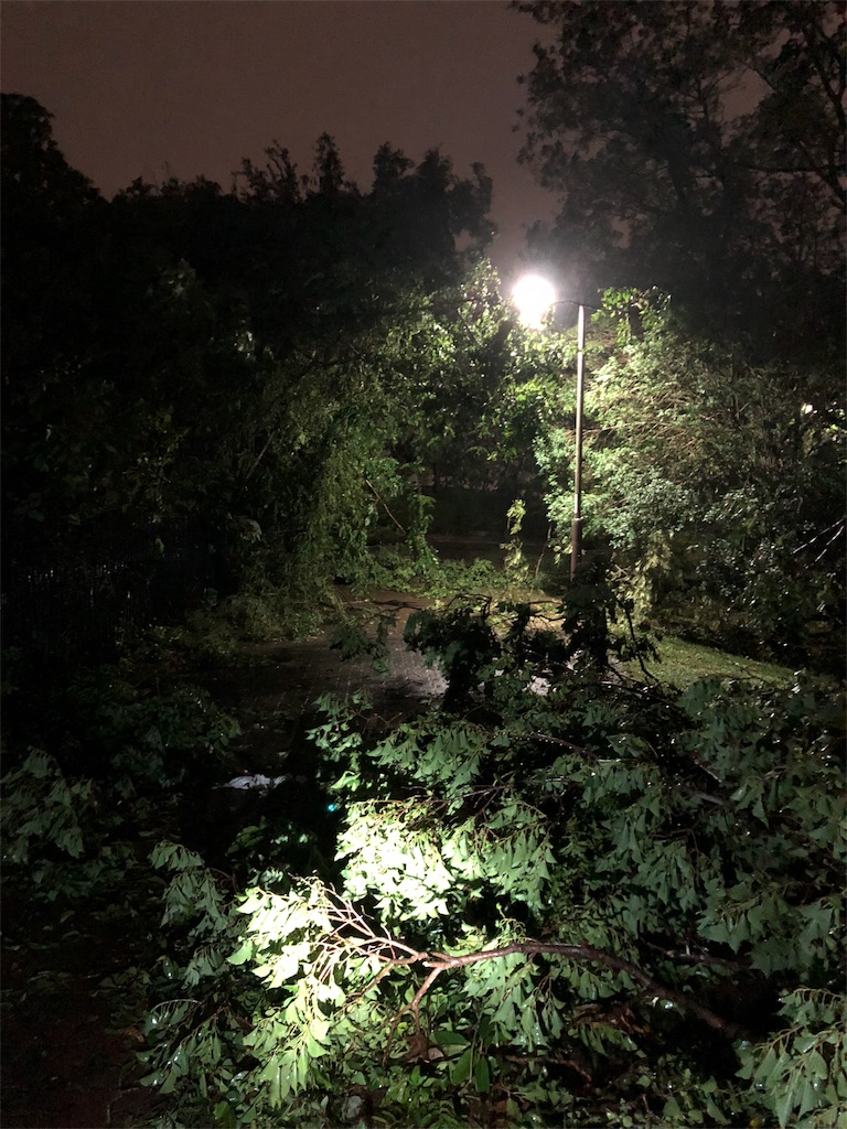 f:id:aso4045:20180904210633j:image f:id:aso4045:20180904210633j:image