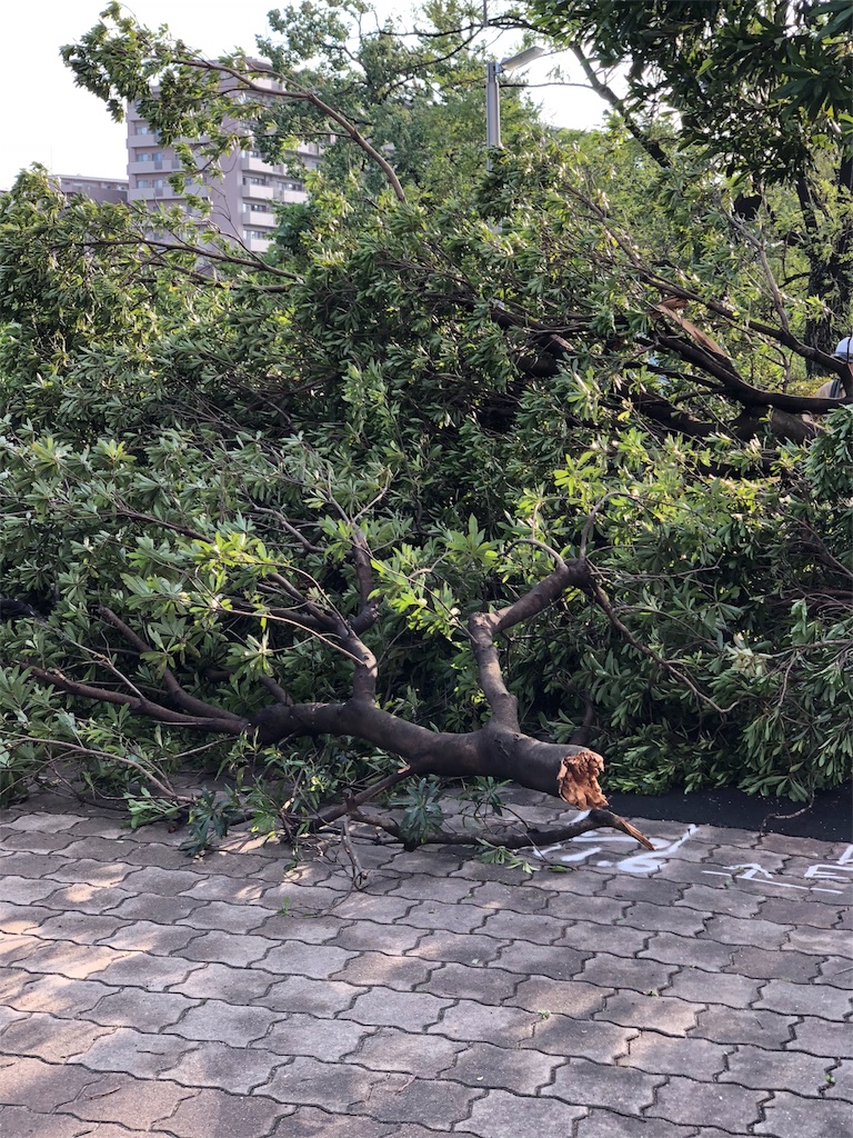 f:id:aso4045:20180905072246j:image