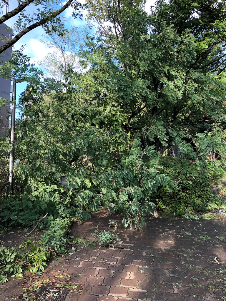 f:id:aso4045:20180905072305j:image
