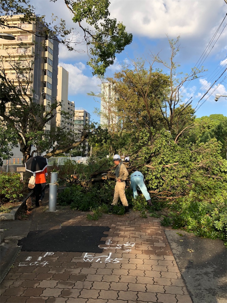 f:id:aso4045:20180905072405j:image
