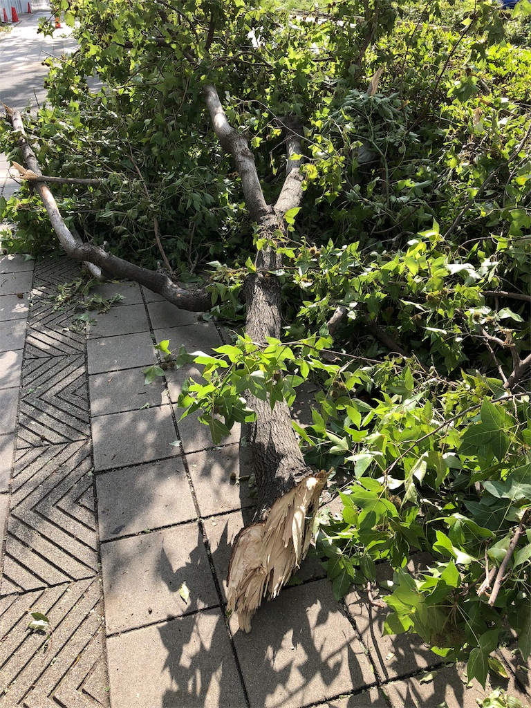 f:id:aso4045:20180905083209j:image