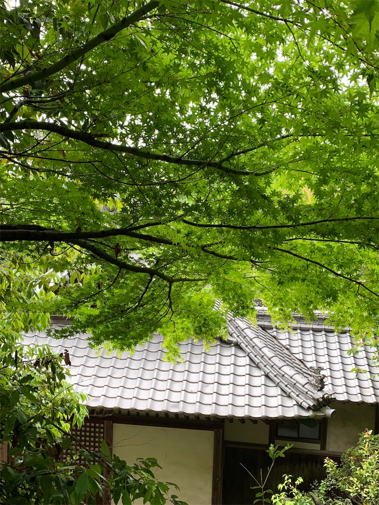 f:id:aso4045:20190430201724j:image